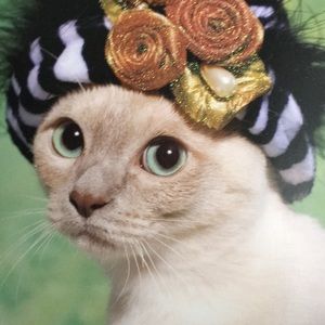 Meet your Posher, Susan